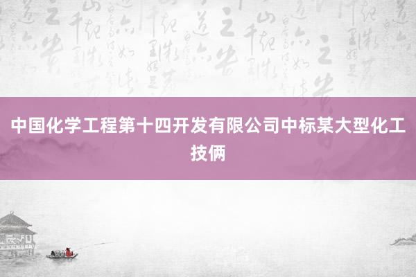 中国化学工程第十四开发有限公司中标某大型化工技俩