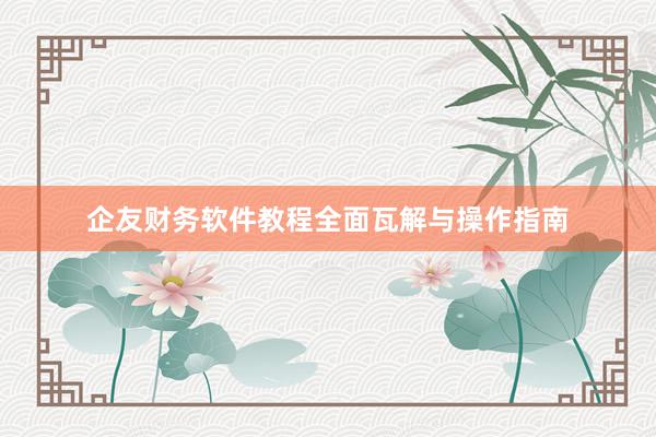 企友财务软件教程全面瓦解与操作指南